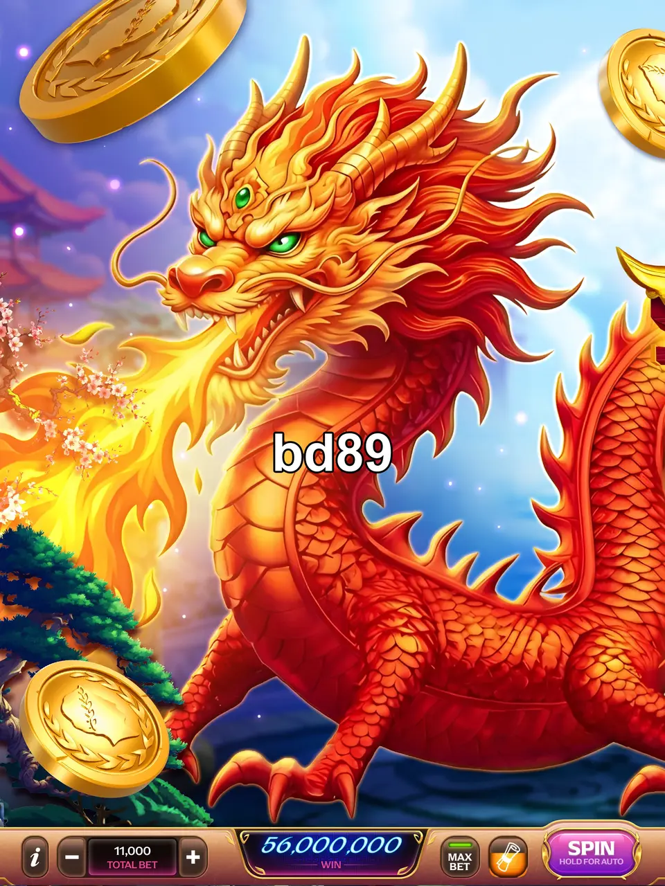 bd89 লগইন